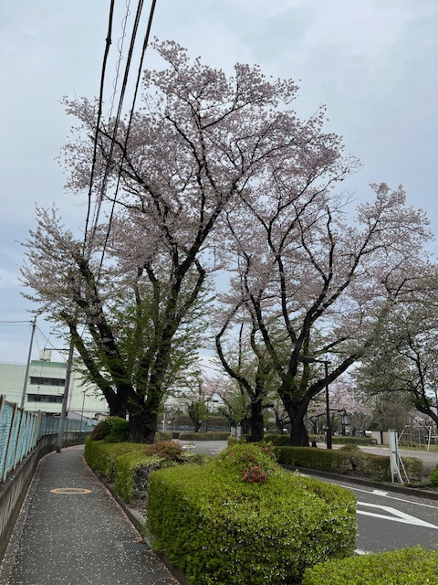 undefined - 2026-04-07T140102.221